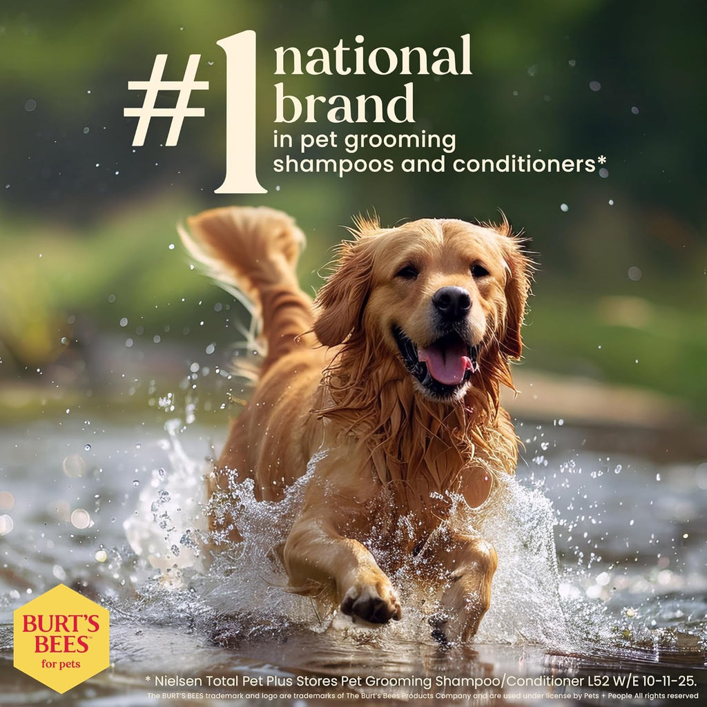 Deodorizing Dog Shampoo, Apple & Rosemary, 16 Oz, 2-Pk | 95 Percent Natural Origin, Ph-Balanced Formula, Free of Sulfates, for Smelly Dogs, Gentle, Daily Use