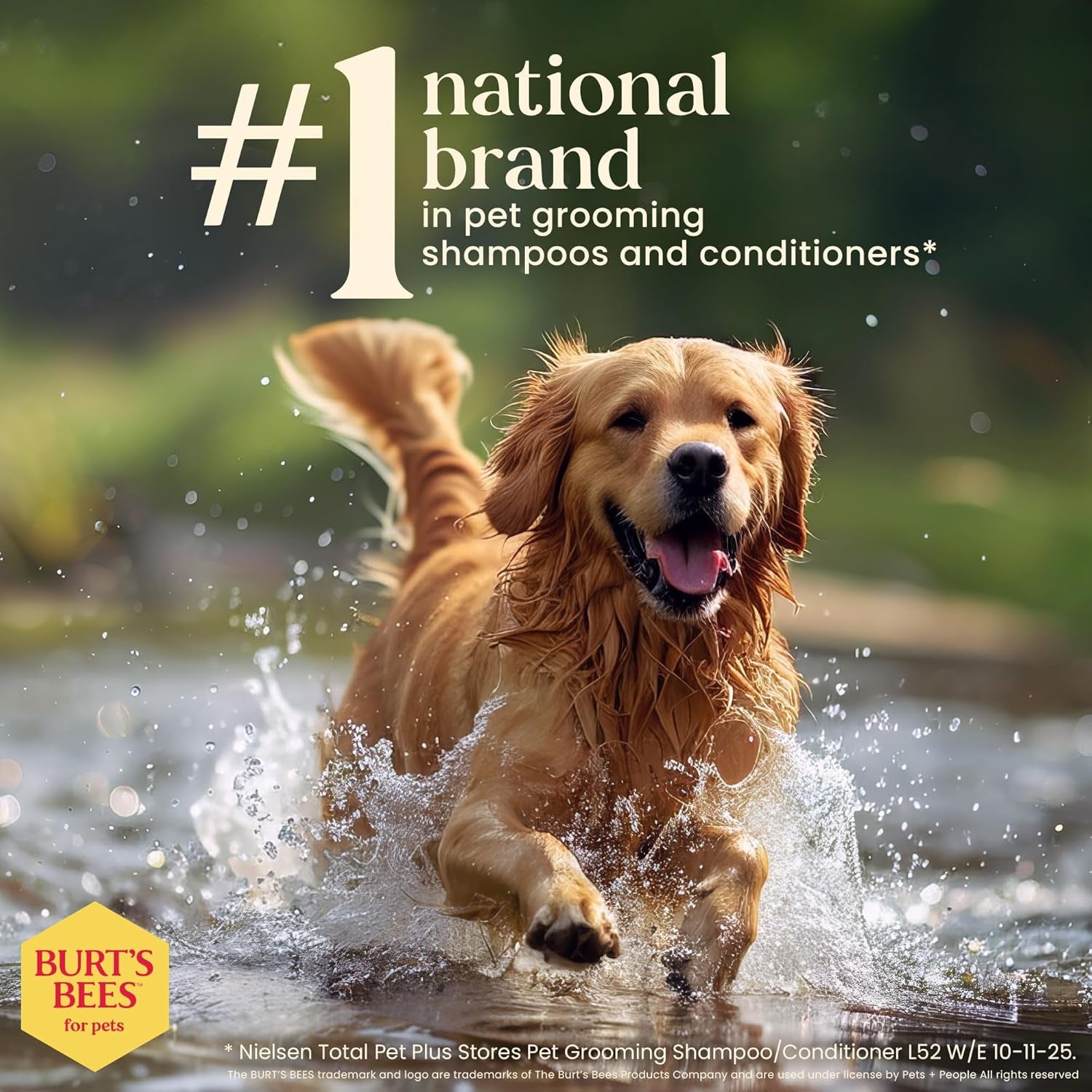Deodorizing Dog Shampoo, Apple & Rosemary, 16 Oz, 2-Pk | 95 Percent Natural Origin, Ph-Balanced Formula, Free of Sulfates, for Smelly Dogs, Gentle, Daily Use