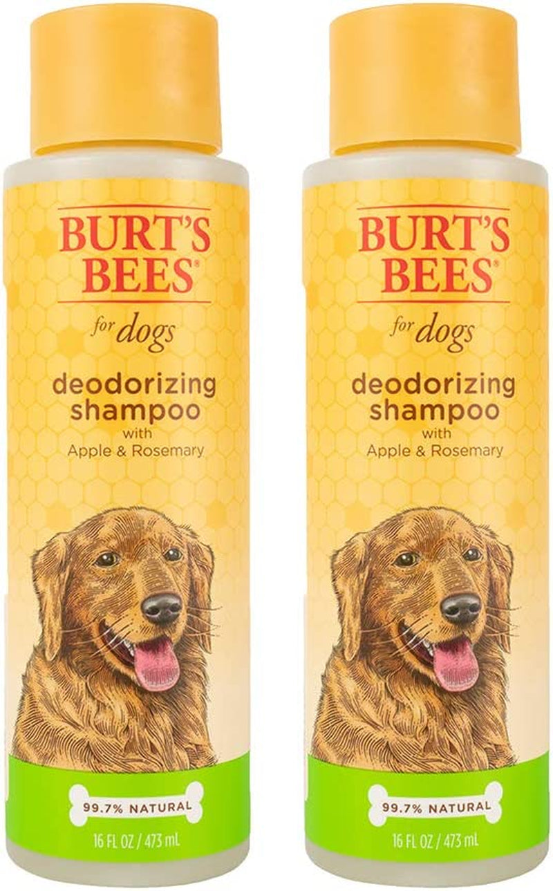 Deodorizing Dog Shampoo, Apple & Rosemary, 16 Oz, 2-Pk | 95 Percent Natural Origin, Ph-Balanced Formula, Free of Sulfates, for Smelly Dogs, Gentle, Daily Use