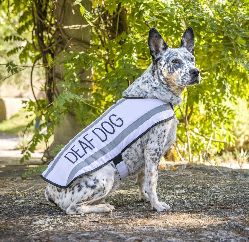 Limited Deaf Dog White Warm Dog Coats S M M L L XL Waterproof Reflective Fleece Lined Prevents Accidents by Warning Others of Your Dog in Advance (M-L Back 17" (43Cm)