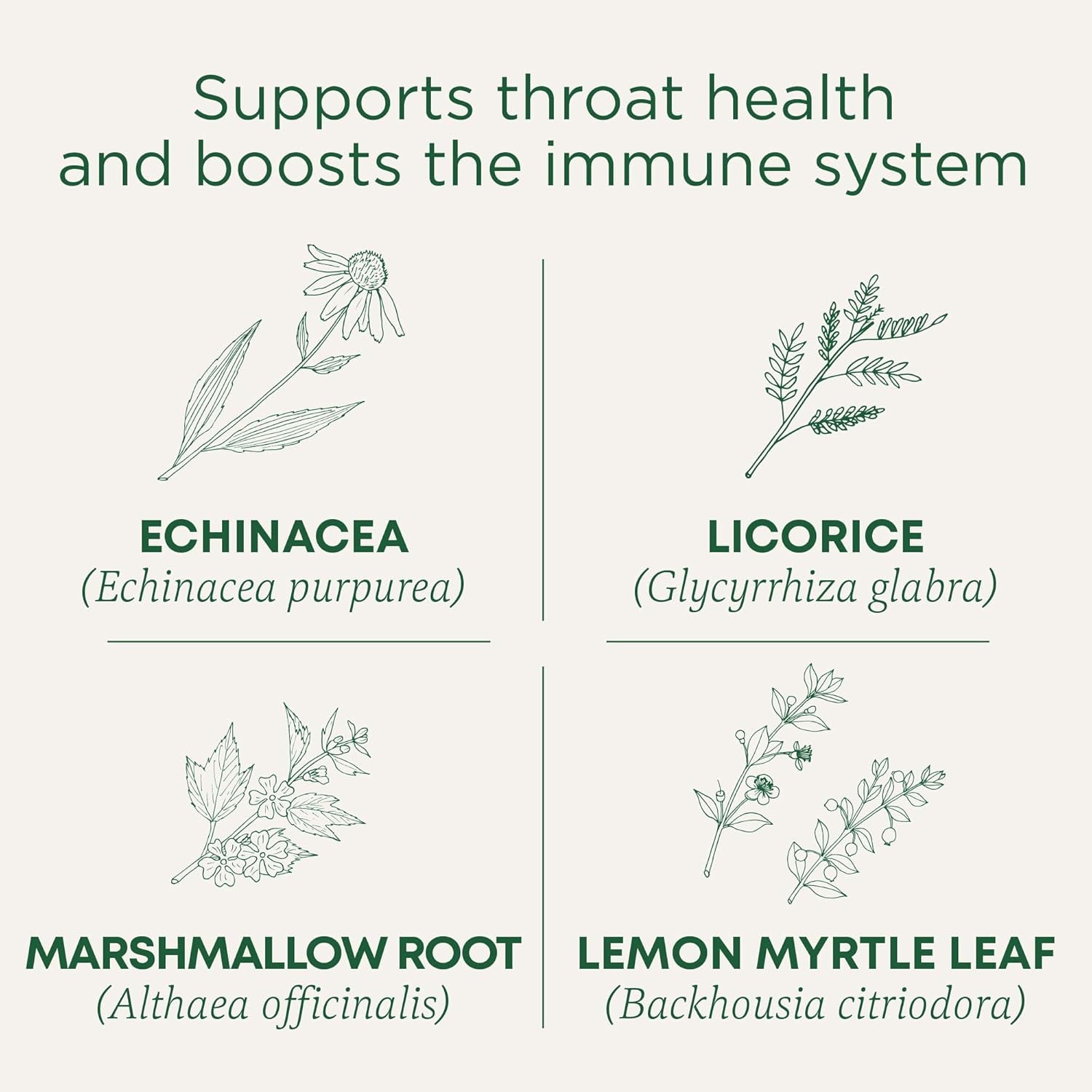Organic, Throat Coat Lozenges, Lemon Ginger Echinacea - Herbal Cough Drops, Helps Soothe Sore Throat - Non-Gmo, Stimulant-Free - 16 Count
