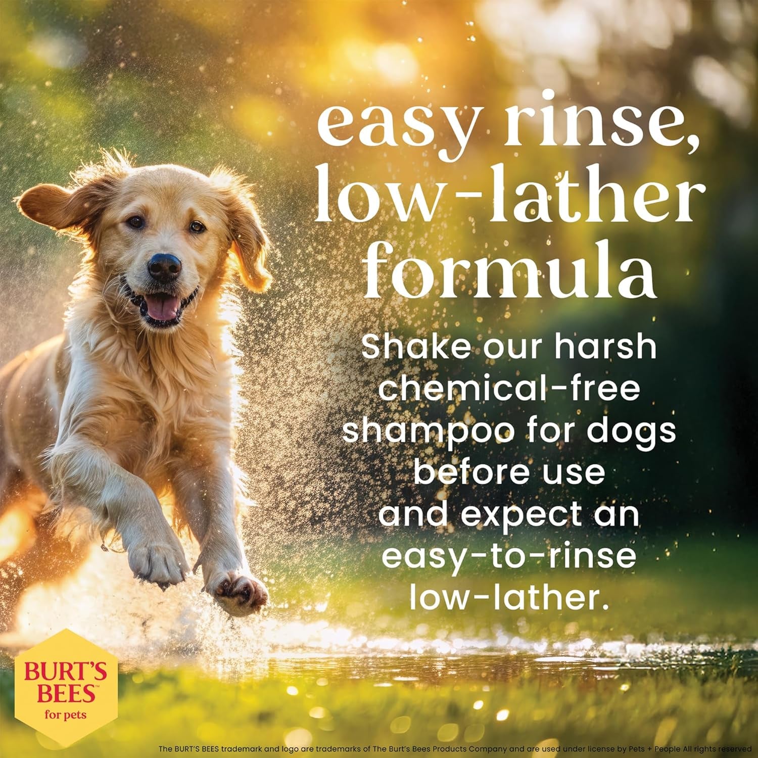 Deodorizing Dog Shampoo, Apple & Rosemary, 16 Oz, 2-Pk | 95 Percent Natural Origin, Ph-Balanced Formula, Free of Sulfates, for Smelly Dogs, Gentle, Daily Use