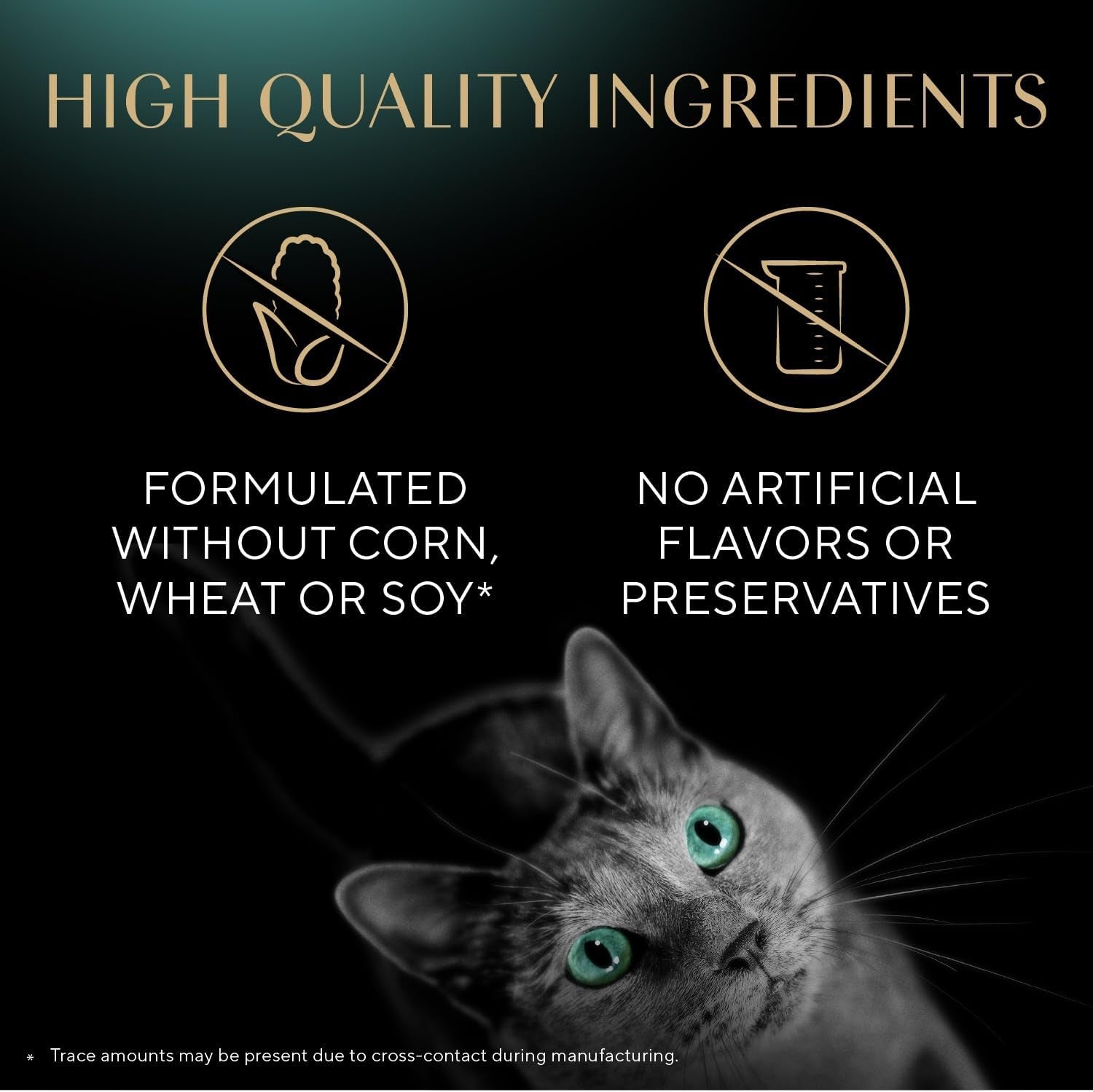 Meaty Tender Sticks Soft Cat Treats, Salmon Flavor, 5 Count, 10 Pack | 50 Sticks Total, Individually Wrapped, Real Meat, Omega-6 Fats, Essential Amino Acids, No Artificial Dyes