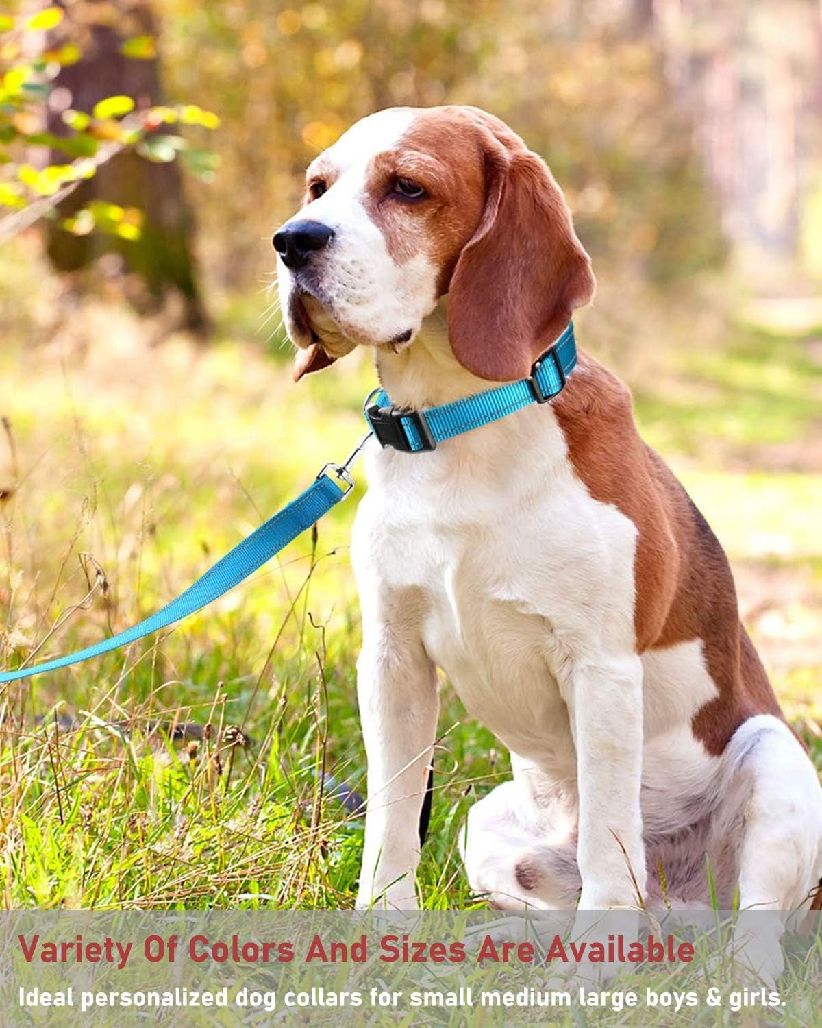 Reflective Dog Collar with Buckle Adjustable Safety Nylon Collars for Small Medium Large Dogs, Blue XL | Breathable, No Chafing on Walks and Outdoor Hikes, Metal D-Ring, Night Safety