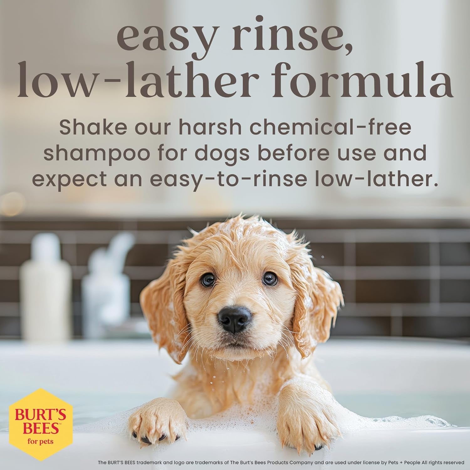 Burts Bees Tearless Puppy Shampoo & Conditioner with Buttermilk, 16 Fl Oz | Gentle 2-In-1 Formula Cleans and Conditions Sensitive Puppy Skin and Coat, Tearless for Easy Bath Time